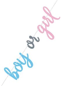 Boy or Girl Gender Reveal Banner med 2,1 meter Tråd