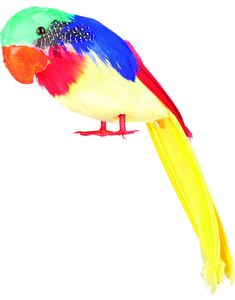 Farverig Papegøje 30 cm Dekoration / Kostumetilbehør