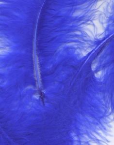 8 gram Royal Blå Dekorative Fjer 6-12 cm