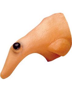 Heksenæse med Vorte