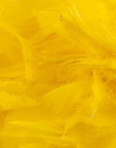 50 gram Gule Dekorative Fjer 6-12 cm