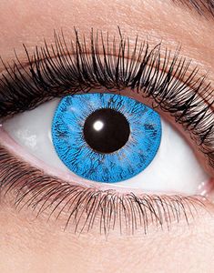 STYRKELINSER Blå Naturlige Dekorationslinser