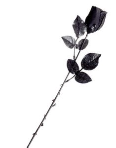Sort Langstilket Rose - Dekoration/Kostume Tilbehør