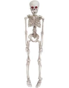Ranglebenet Skelet med Lysende Øjne - 50 cm 