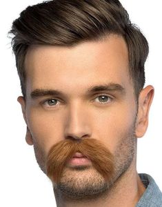 Brun Hvalross Løsbart