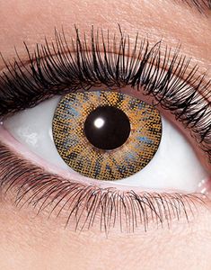 STYRKELINSER Brun Naturlig Dekorationslinse