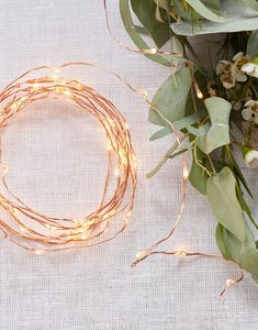 Ekstra Tynd Kobber-lyskæde med 60 LED lys - 3 Meter - Botanisk Bryllup